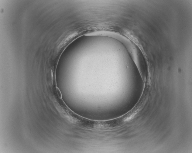 X0000059090109200510172105