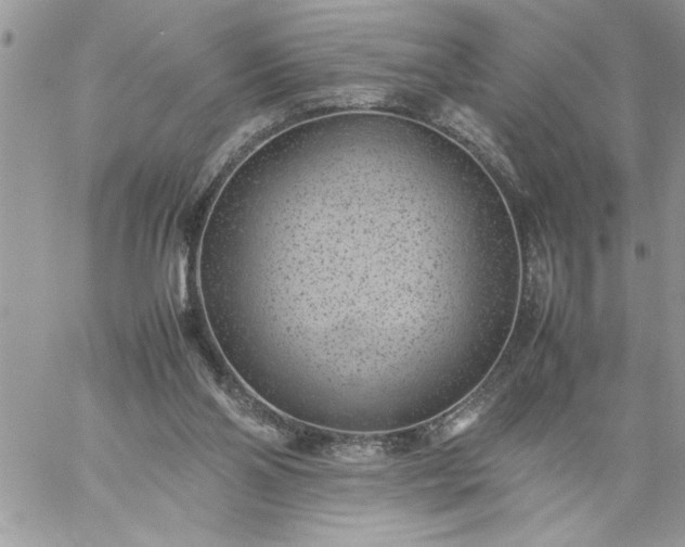 X0000059090110200510172104