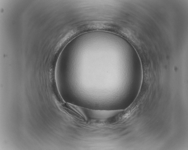 X0000059090111200510172104