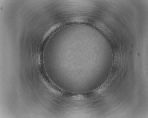 X0000059090112200510172104