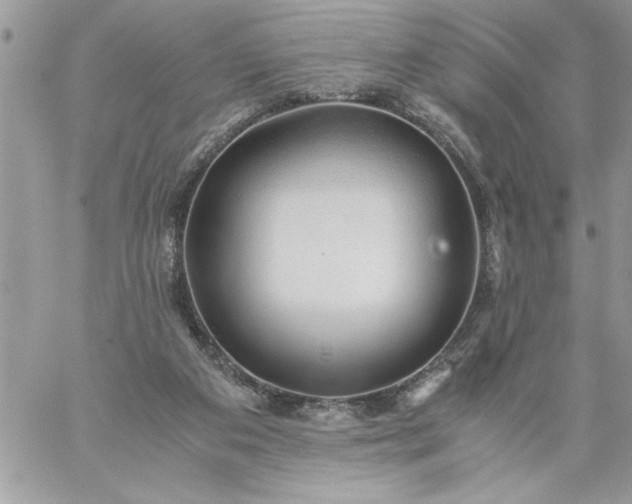 X0000059090113200510172104