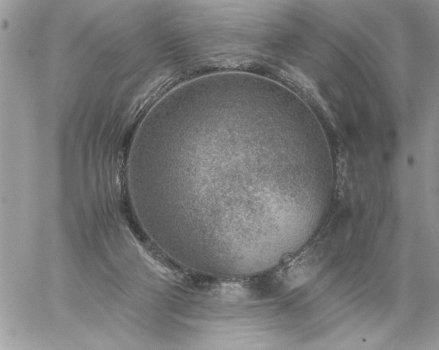 X0000059090114200510172104