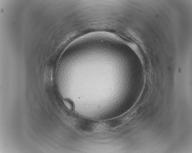 X0000059090115200510172104