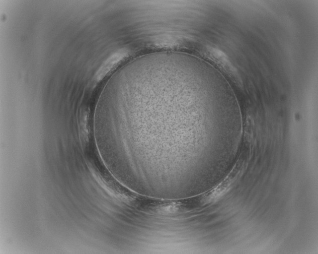 X0000059090116200510172104