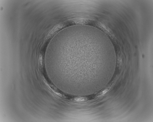 X0000059090117200510172104