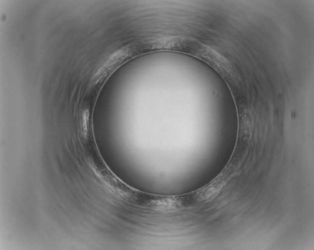 X0000059090118200510172104