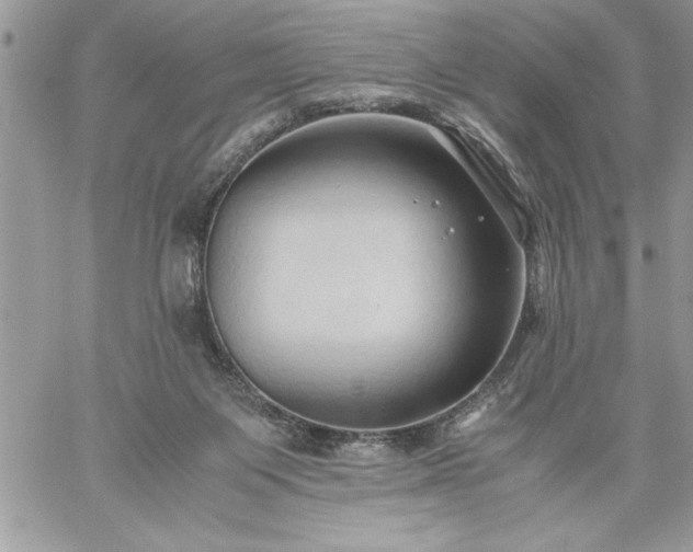 X0000059090119200510172104