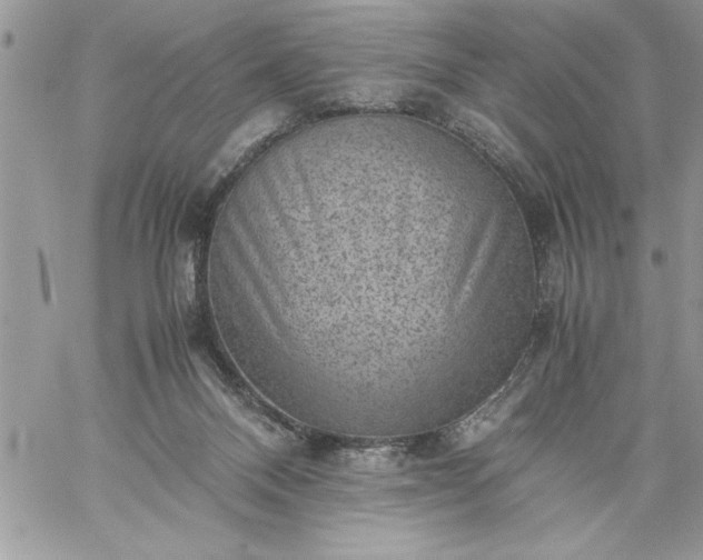 X0000059090120200510172104