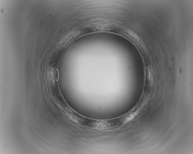 X0000059090121200510172104