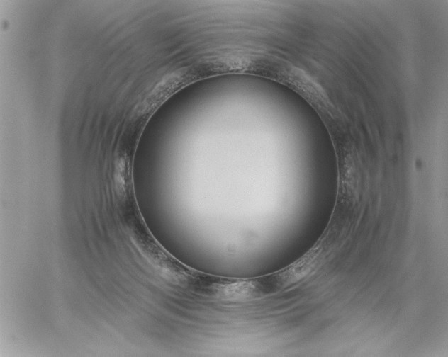 X0000059090122200510172104