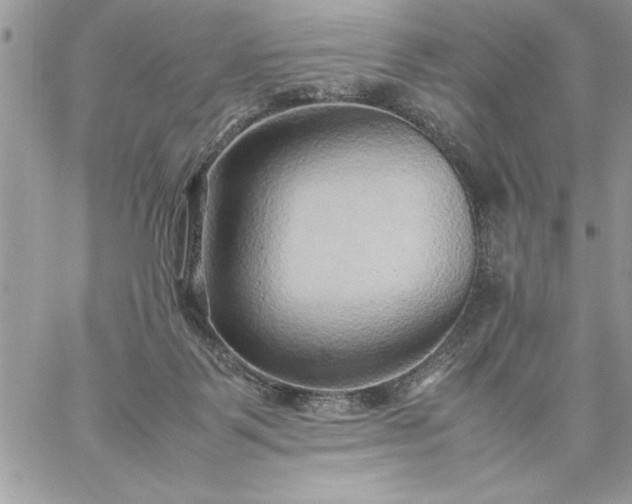 X0000059090123200510172104