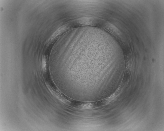 X0000059090124200510172104