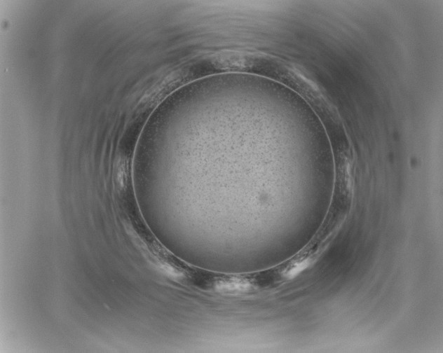 X0000059090125200510172104