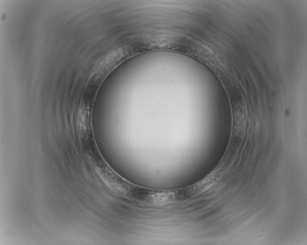 X0000059090126200510172104