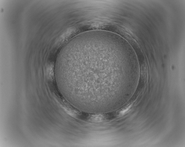 X0000059090127200510172104