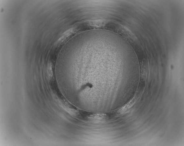 X0000059090128200510172104