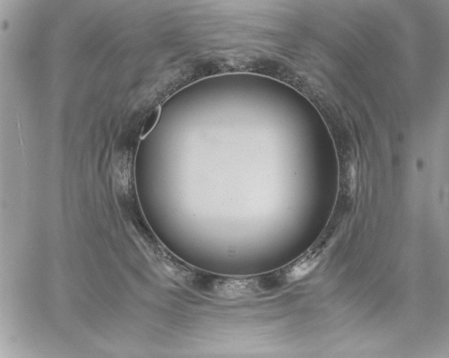 X0000059090129200510172104