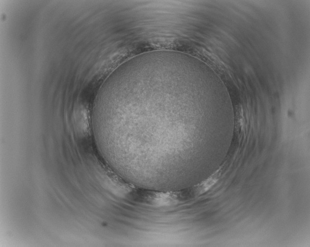 X0000059090130200510172104