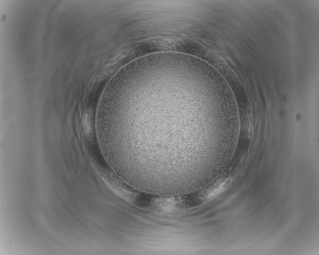 X0000059090131200510172104