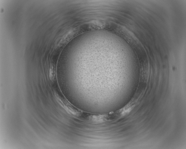 X0000059090134200510172104