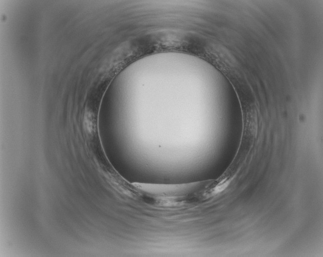 X0000059090135200510172104