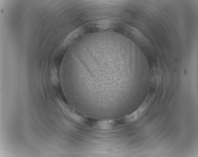 X0000059090136200510172104