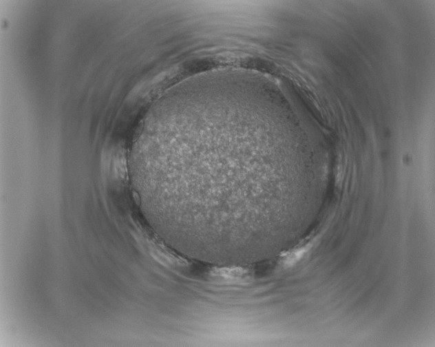 X0000059090137200510172104