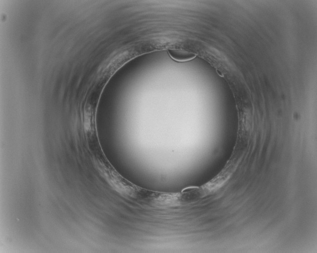 X0000059090138200510172104