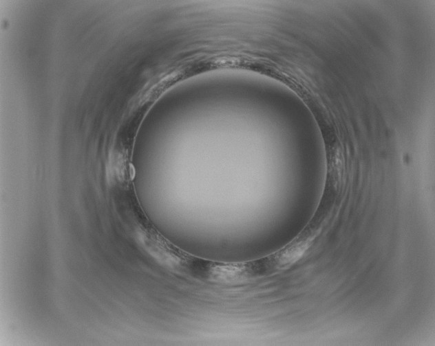 X0000059090139200510172104