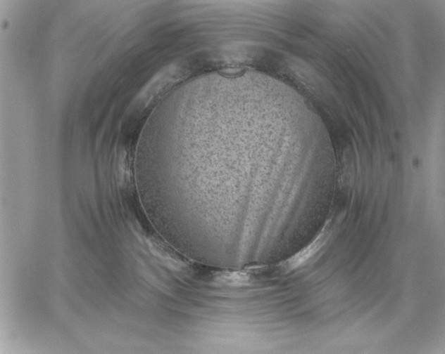 X0000059090140200510172104