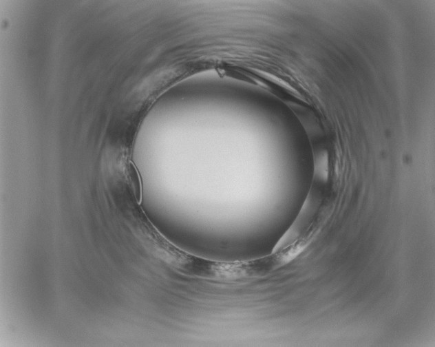 X0000059090141200510172104