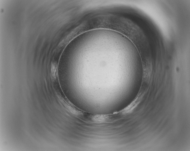 X0000059090142200510172104