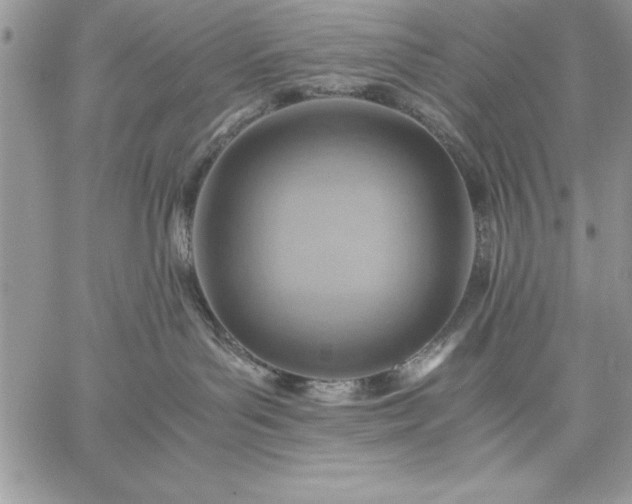 X0000059090143200510172104