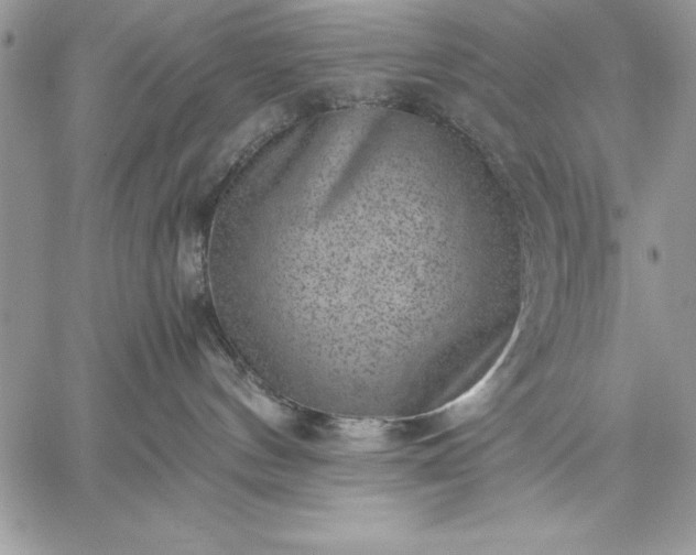 X0000059090144200510172104