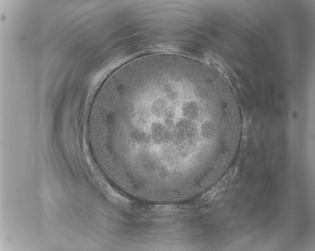 X0000059090145200510172103