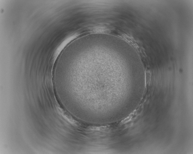 X0000059090147200510172103