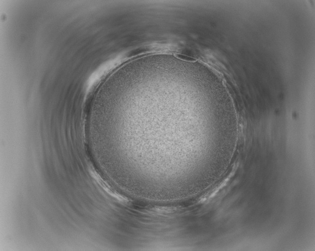 X0000059090149200510172103