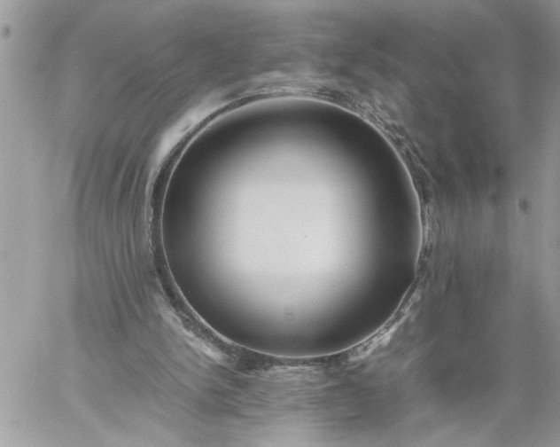 X0000059090150200510172103