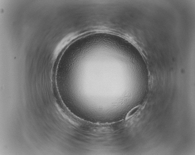 X0000059090151200510172103