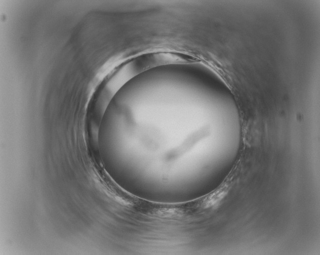 X0000059090152200510172103