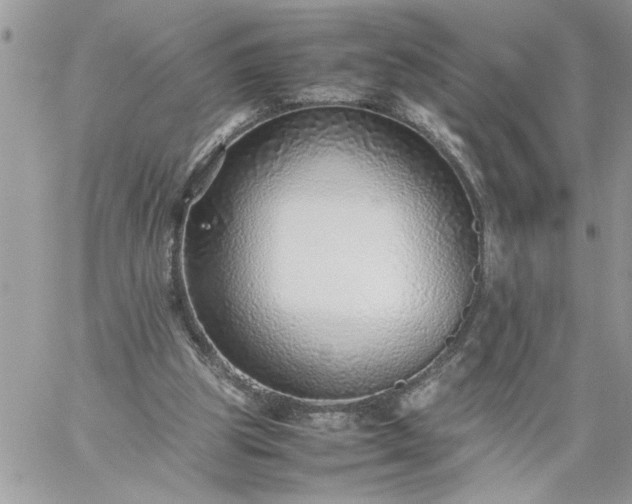 X0000059090153200510172103