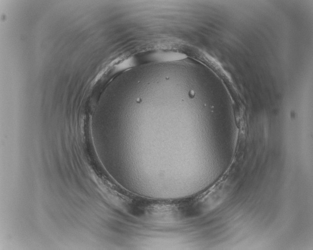 X0000059090154200510172103