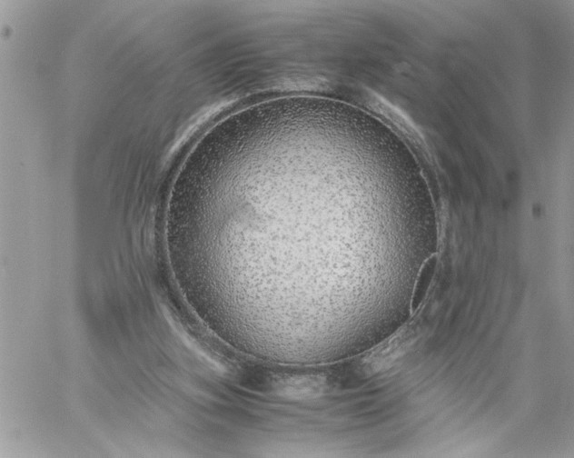 X0000059090155200510172103