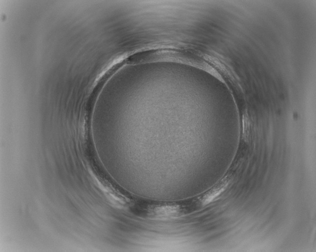 X0000059090156200510172103