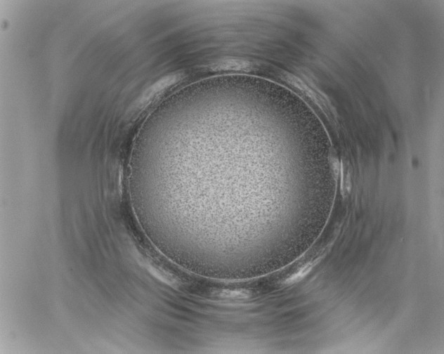 X0000059090157200510172103