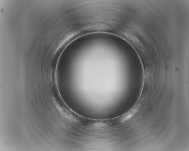 X0000059090158200510172103