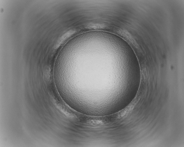 X0000059090159200510172103