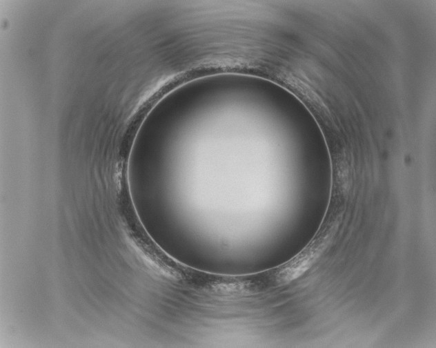 X0000059090160200510172103