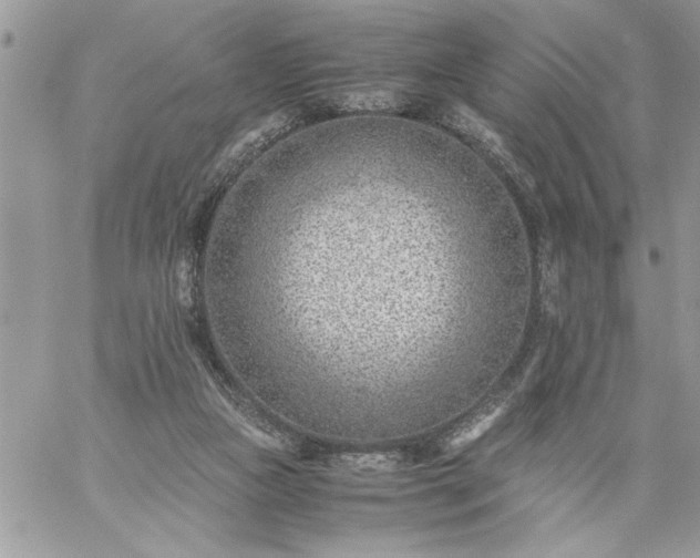 X0000059090161200510172103