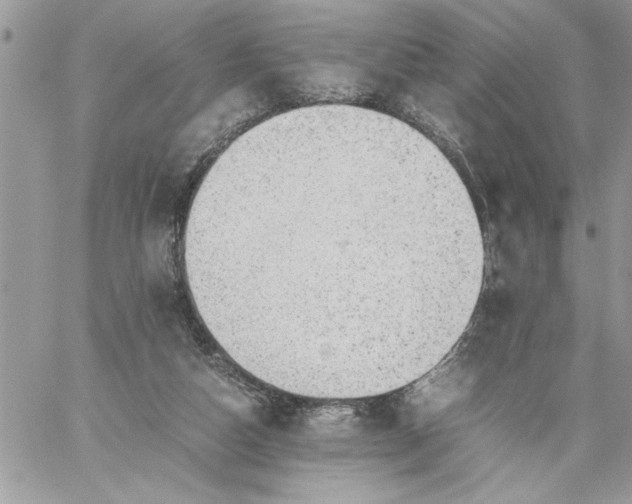 X0000059090162200510172103